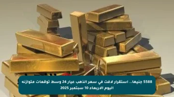 5588 جنيها.. استقرار لافت في سعر الذهب عيار 24 وسط توقعات متوازنة اليوم الأربعاء 10 سبتمبر 2025